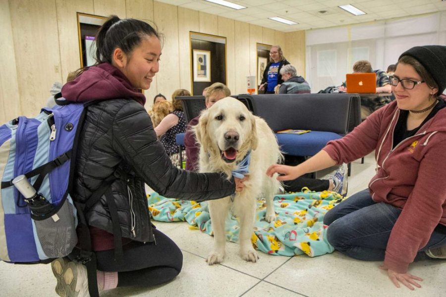 PAWS (Pet Away Worry and Stress) at Wilson Library - UMN Libraries News ...