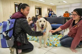 Student petting dog