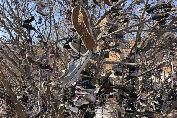 Hundreds of shoes hang from the branches of a tree.