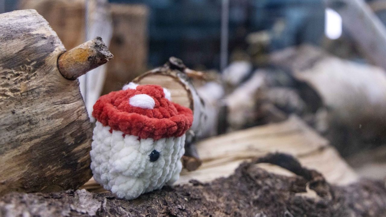A crochet mushroom in the Mycophobia/Mycophilia exhibit.