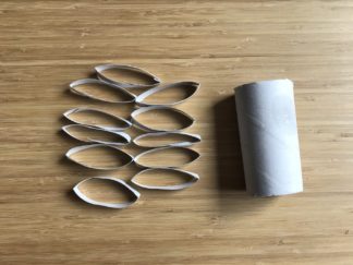 Toilet paper roll cut into 1/4 inch circles