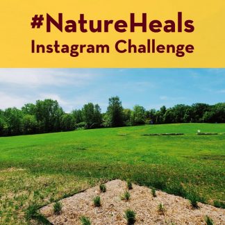 NatureHeals Instagram Challenge text with photo of blue sky and a field