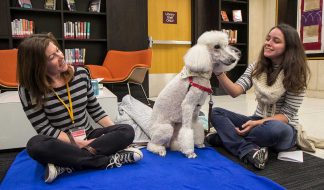 A student (right) enjoys the company of a dog at a PAWS event in Wilson Library. At left is the dog's owner.