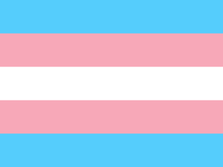 TransgenderPrideFlag-basedonMonicaHelmsdesign