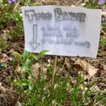 A note with an arrow pointing to a baby tree with info about the tree