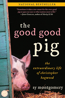 Book cover for The Good Good Pig, by Sy Montgomery