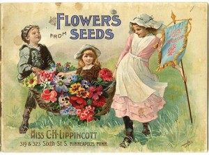 Seed Catalog image