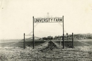 University of Minnesota Farm