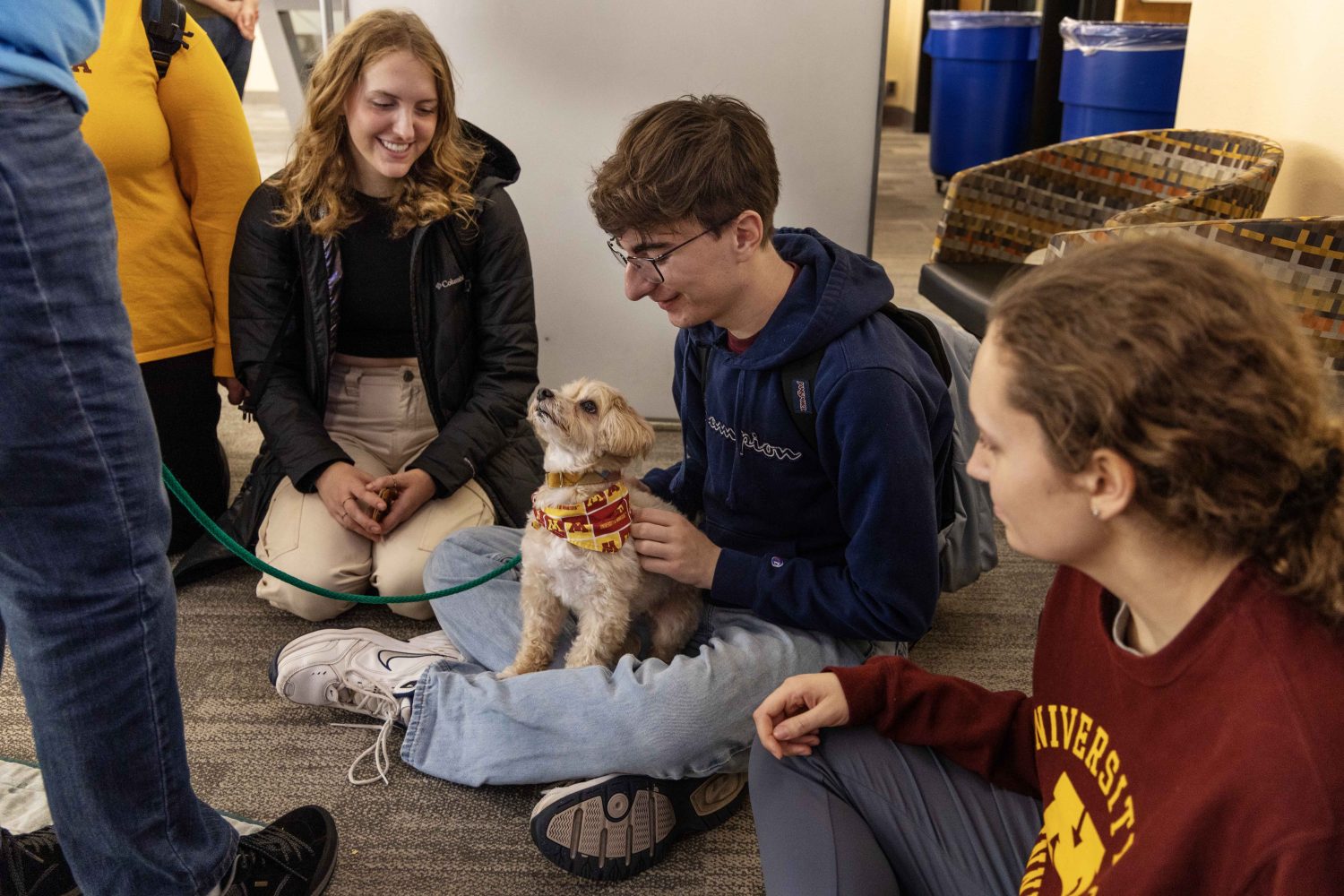 Cayleigh finds a nice lap to sit on during the PAWS 10th anniversary at Wilson Library on Thursday, Nov. 16, 2023. Cayleigh, a maltipoo, has been with PAWS since 2016. (Photo/Adria Carpenter)