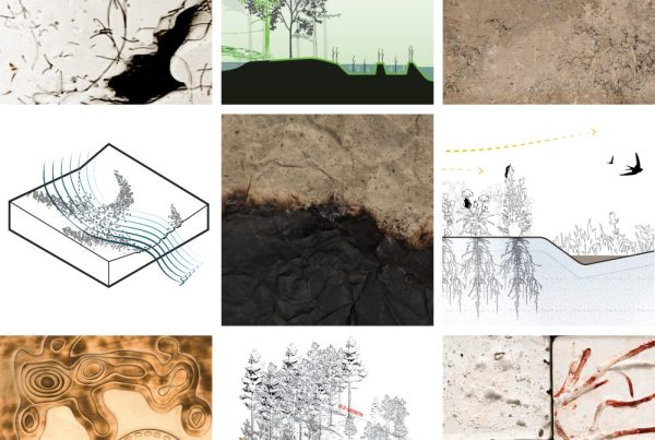 a square grid of nine illustrations and photos showing landscapes, and natural features including trees from the Resilient Infrastructures exhibit