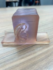 Resin printed model of a child's ear.