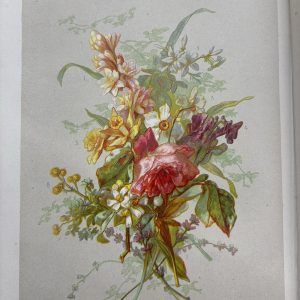 A painting of a flower bouquet from the Wangensteen Historical Library of Biology and Medicine