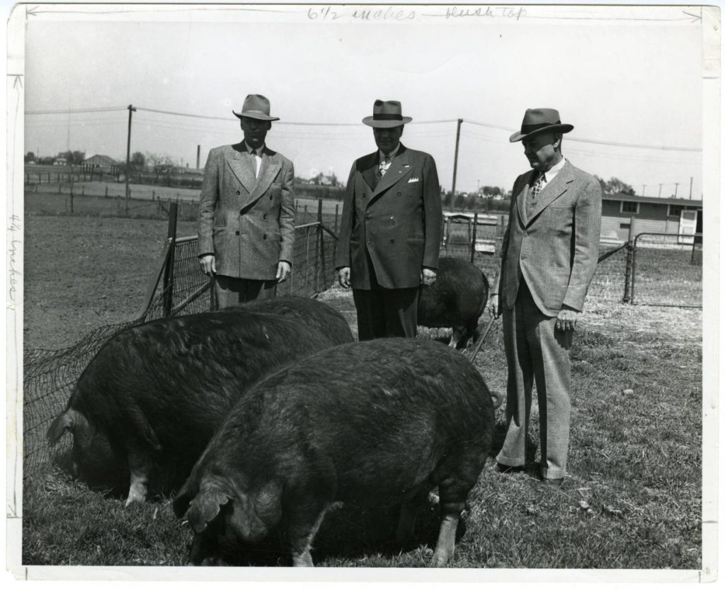 President James Morrill visits the St. Paul campus during his inauguration in 1946. University of Minnesota Archives Photograph Collection, https://umedia.lib.umn.edu/item/p16022coll175:21237.