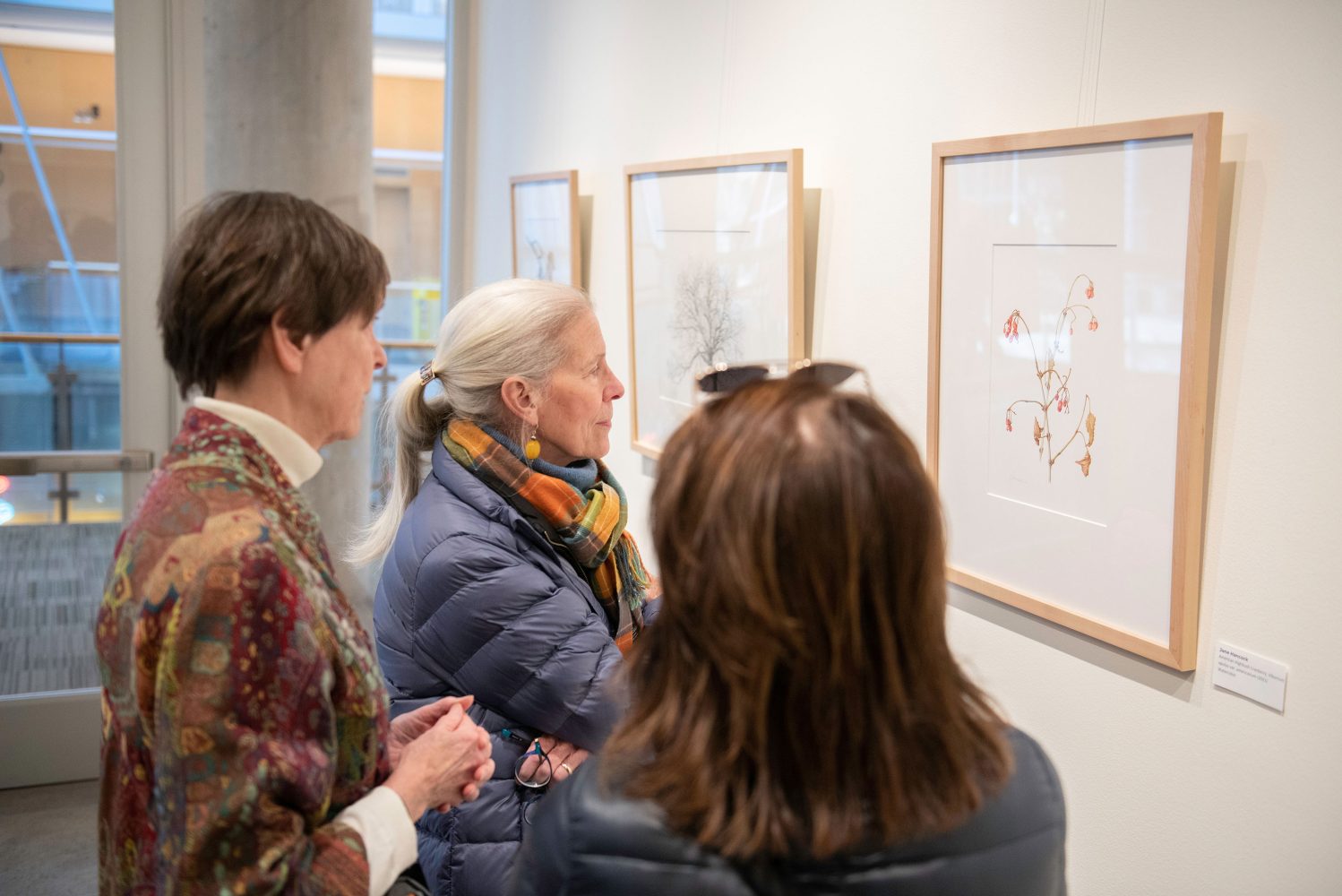 Three women stand in front of a framed drawing of a plant and study it carefully