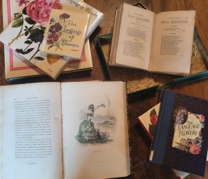 Book, cards, illustrations and other documents from the Andersen Horticultural Library collections