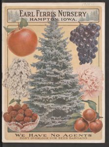 The front cover of a 1925 Earl Ferris nursery seed catalog, with a main image of a pine tree, surrounded by large images of an apple, grapes, raspberries, peaches, and flowers.