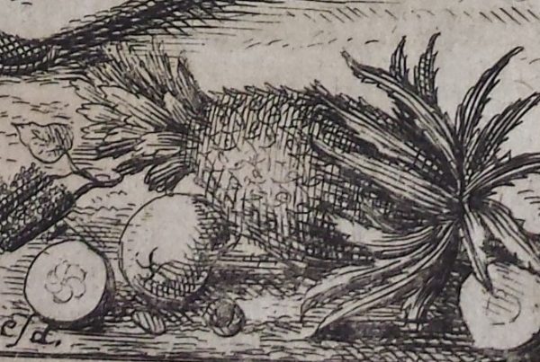 Sketch of various fruits including a pineapple.