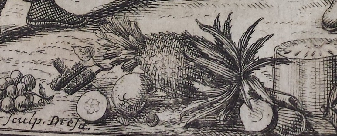 Sketch of various fruits including a pineapple.